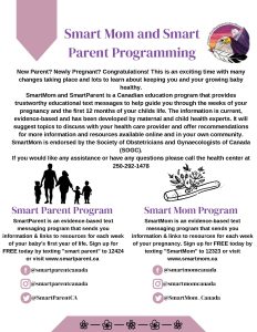 Smart Mom and Parent Programming Poster