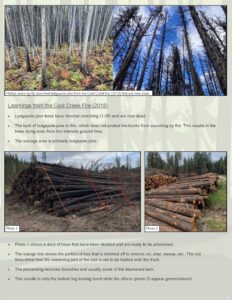 Fire Salvage Newsletter - October_Page_3