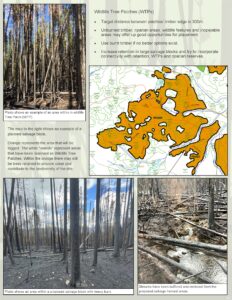 Fire Salvage Newsletter - November Draft_Page_2