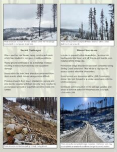 Fire Salvage Newsletter - February Draft_Page_2